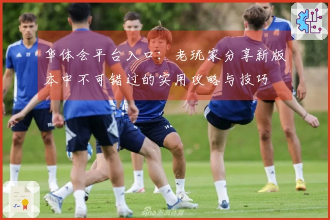 华体会平台入口：老玩家分享新版本中不可错过的实用攻略与技巧