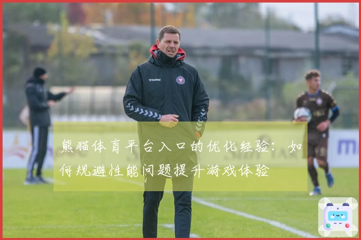 熊猫体育平台入口的优化经验：如何规避性能问题提升游戏体验