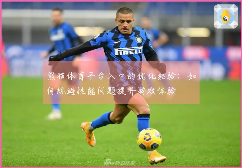 熊猫体育平台入口的优化经验：如何规避性能问题提升游戏体验